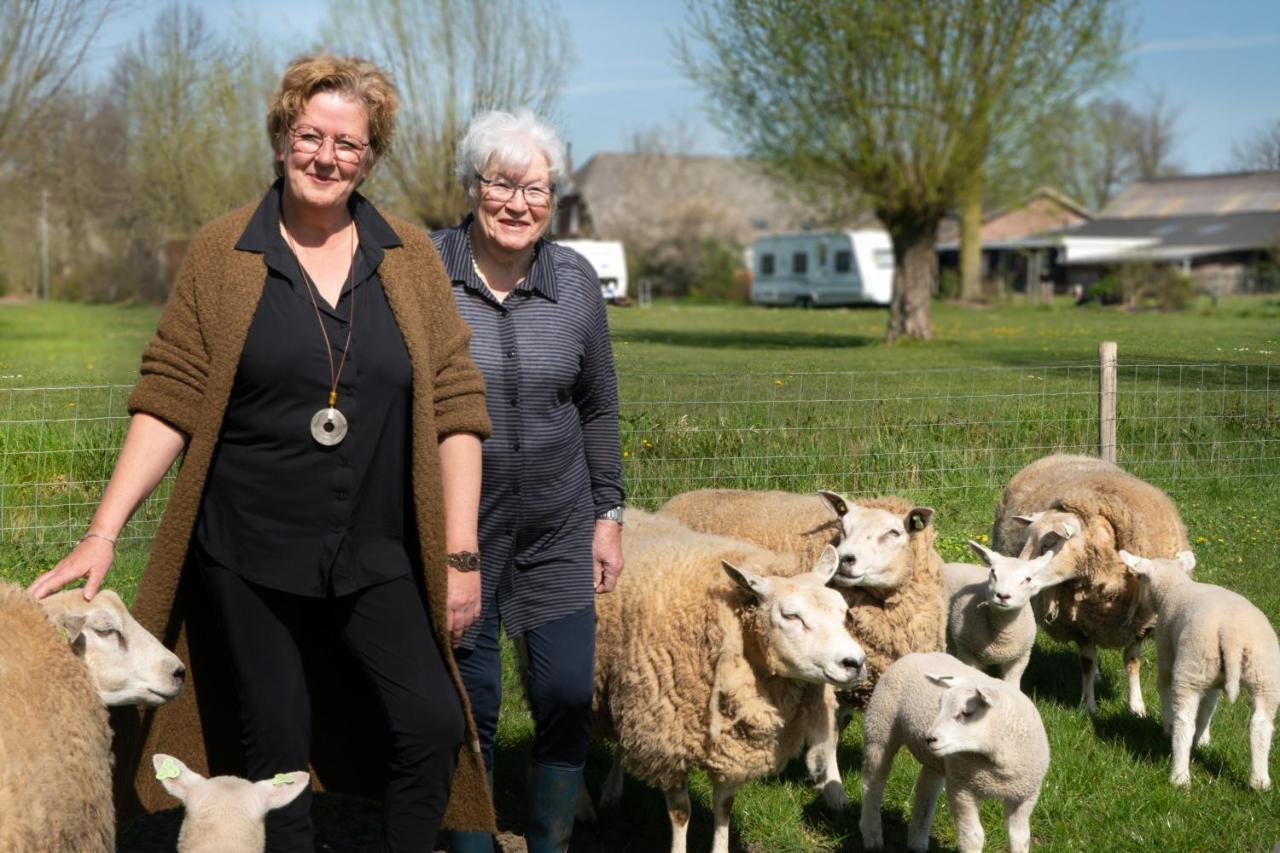 Hoeve De Mertel Biezenmortel Eksteriør bilde